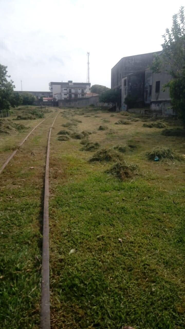 projeto-cidadelimpa-limpeza-urbana-3