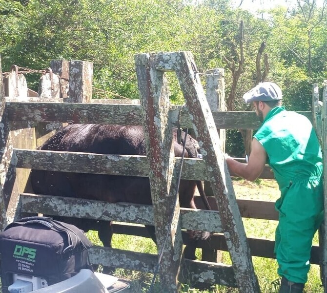 rosario-do-sul-inicia-programa-pecuaria