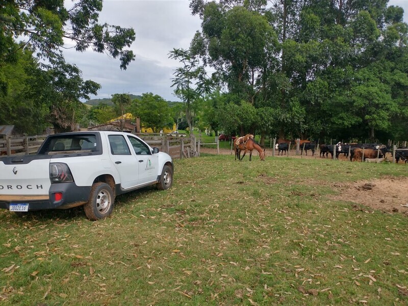 viradouro-recebe-o-programa-pecuaria