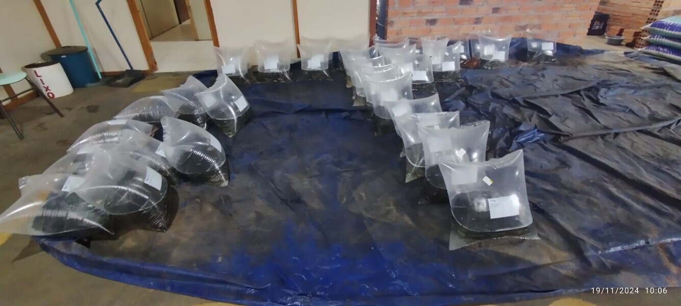 secretaria-de-agricultura-realiza-entrega-de-alevinos-aos-produtores-rurais