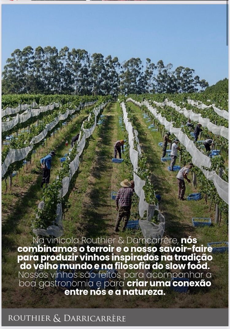 rosario-do-sul-desenvolvimento-impulsionado-pelo-selo-de-indicacao-geografica-ip-campanha-gaucha