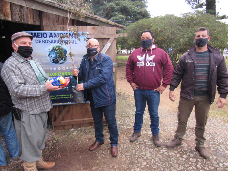 acao-mudas-solidarias