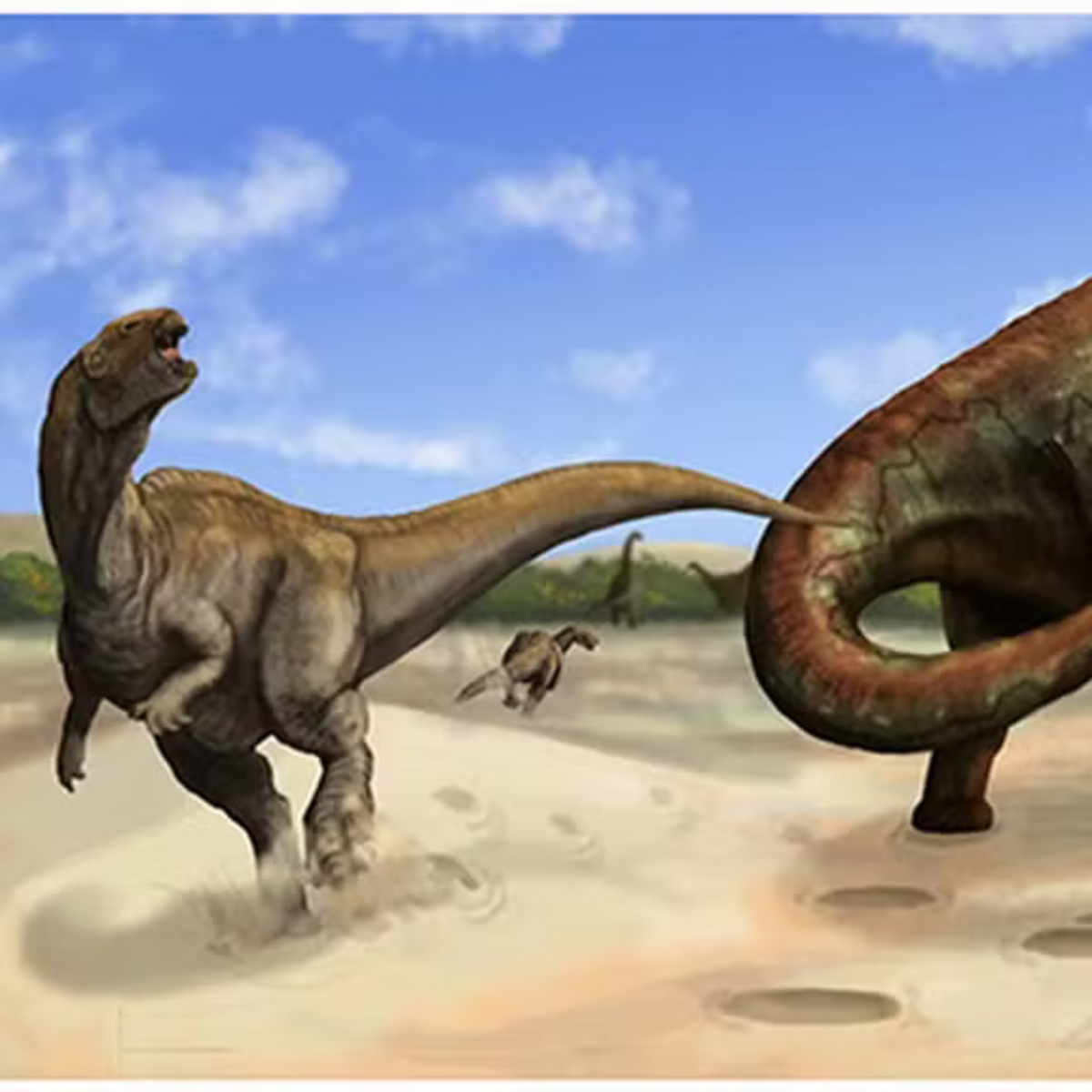 descoberta-cientifica-historica-em-rosario-do-sul-pesquisadores-encontram-pegadas-de-dinossauros-ineditas