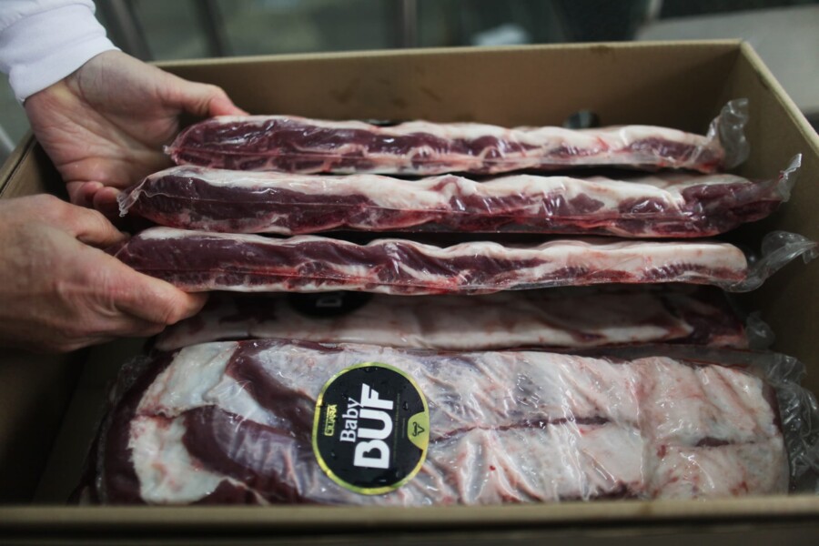 carne-premium-de-bufalo-de-rosario-do-sul-e-lancada-na-serra-gaucha-2