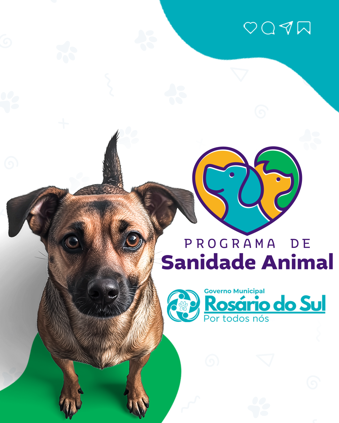 prefeitura-de-rosario-do-sul-lanca-programa-de-sanidade-animal-com-grande-acao-na-praca-borges-de-medeiros