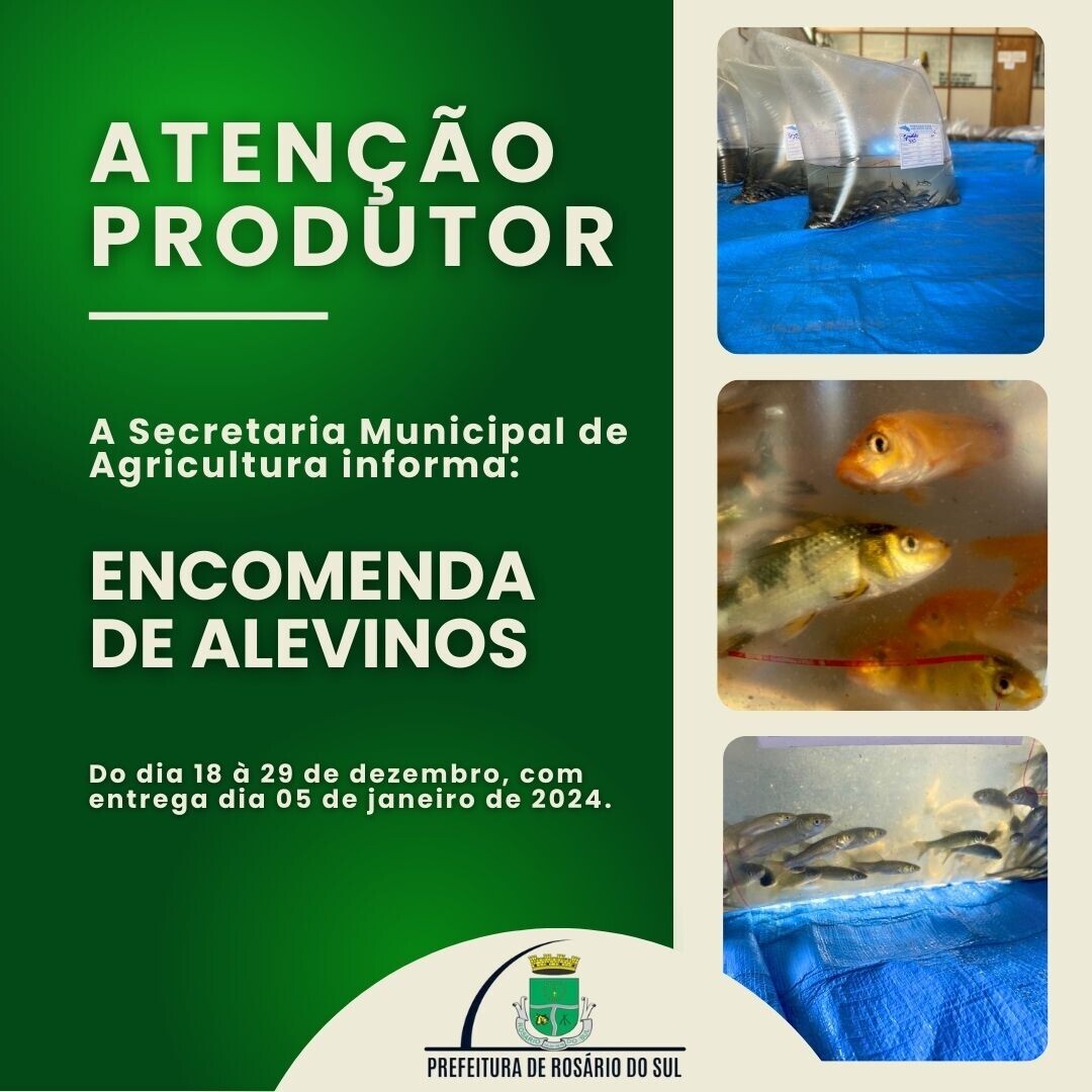 pedidos-de-alivinos-estao-com-as-inscricoes-abertas