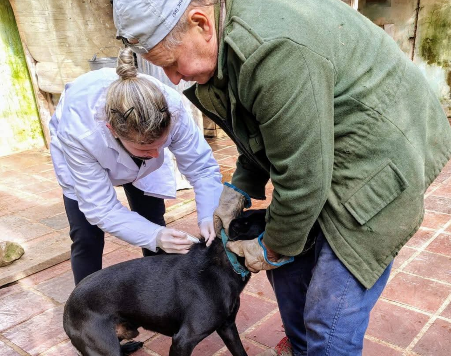 MEDIDA SITE  (7).png