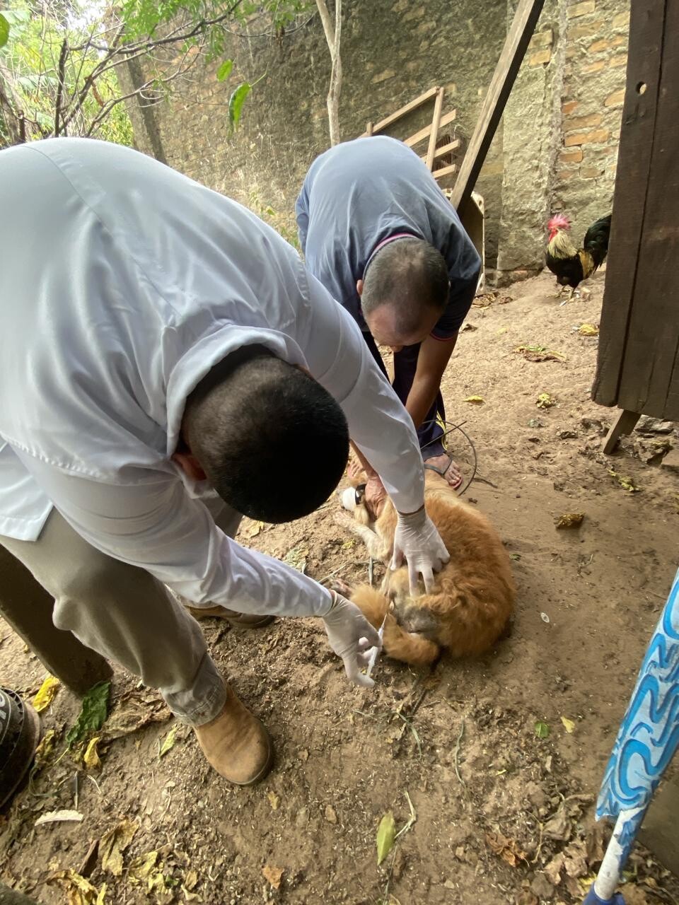 WhatsApp Image 2026-02-12 at 13.07.43.jpeg